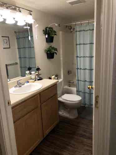Room and bathroom available August