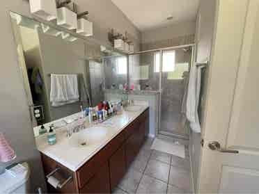 Zilker Park/Barton Springs Room
