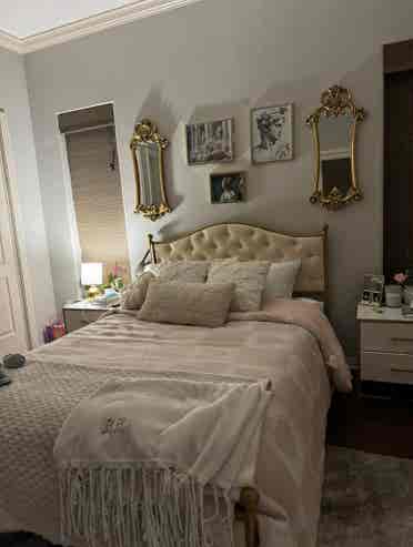 Zilker Park/Barton Springs Room