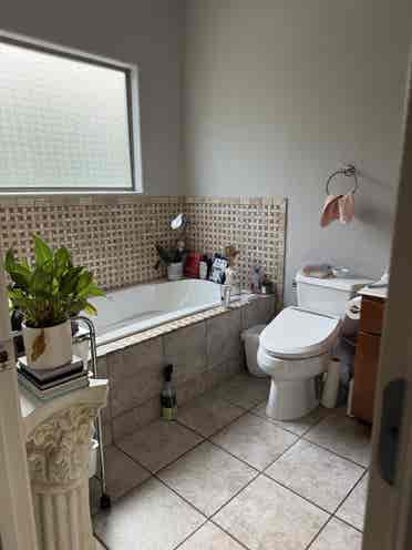 Zilker Park/Barton Springs Room