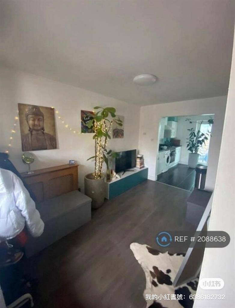 We are looking for roommates