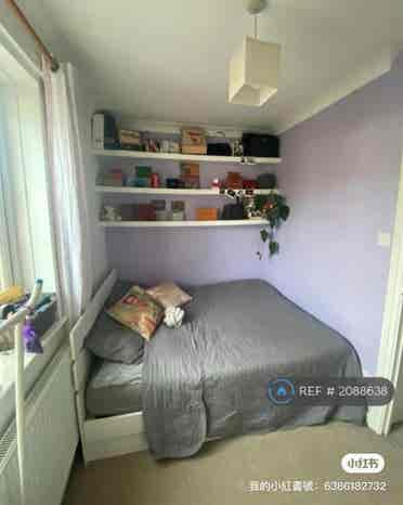 We are looking for roommates