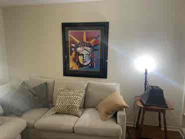 Pet friendly room to rent in Dallas