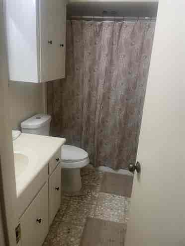 Pet friendly room to rent in Dallas
