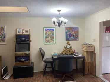Pet friendly room to rent in Dallas