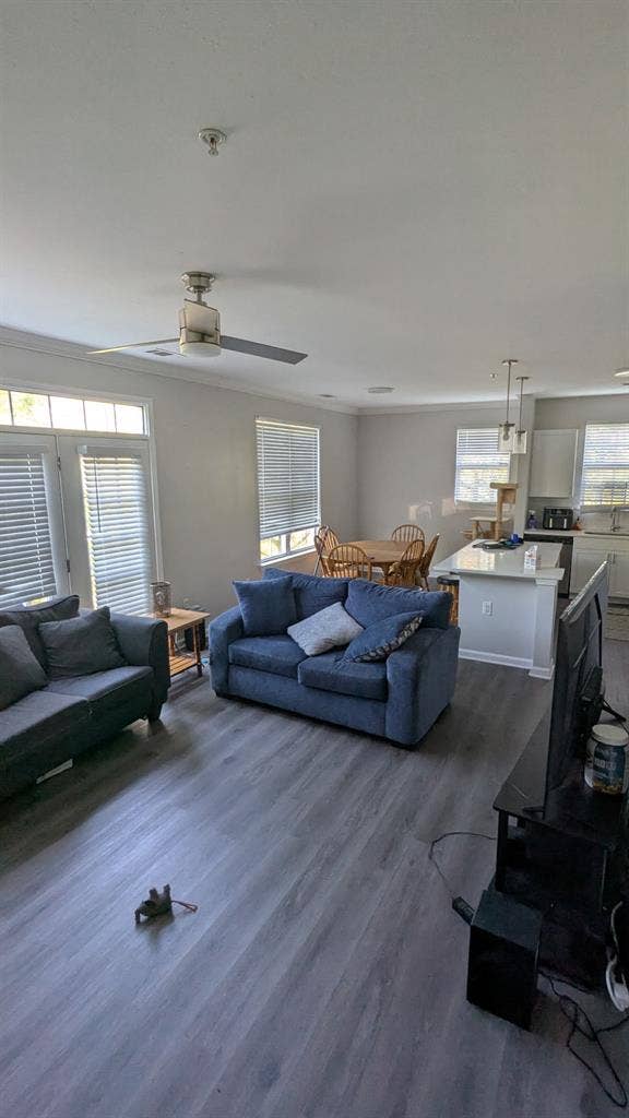 Looking for a Roomate for August