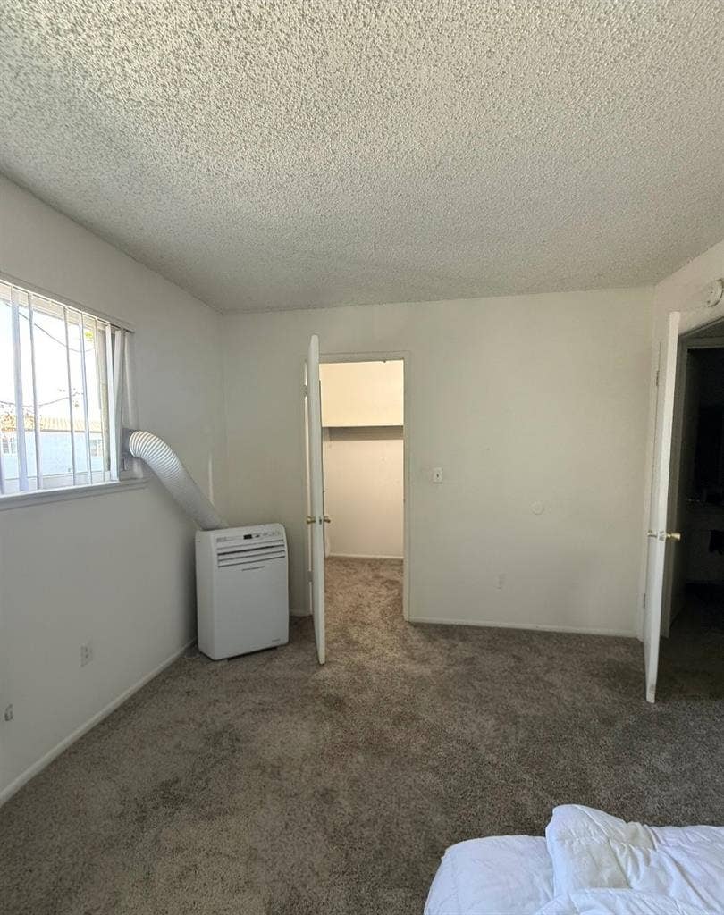 Looking for a roommate
