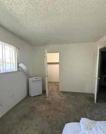 Looking for a roommate
