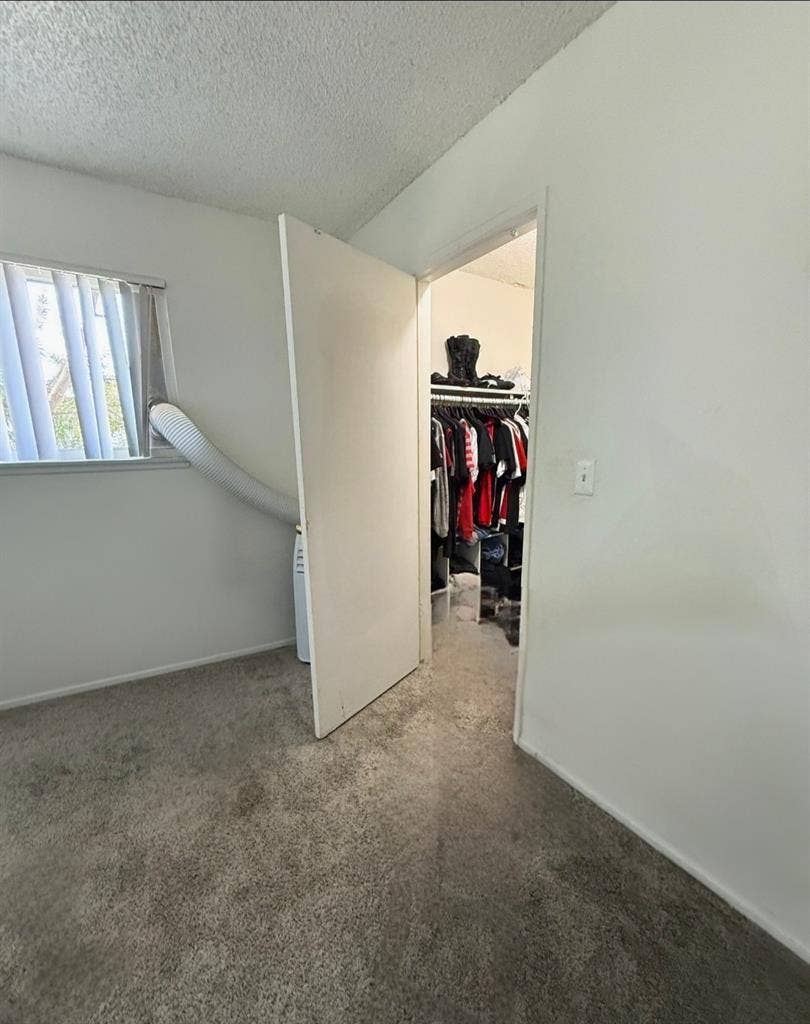 Looking for a roommate