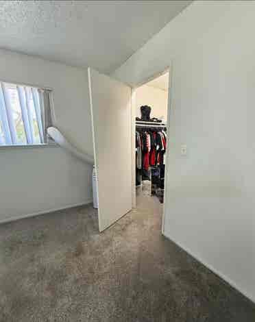 Looking for a roommate
