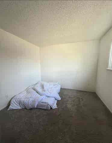 Looking for a roommate