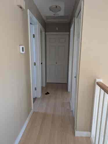 Seeking female roommate