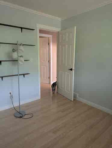 Seeking female roommate