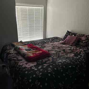 Room with bathroom for rent