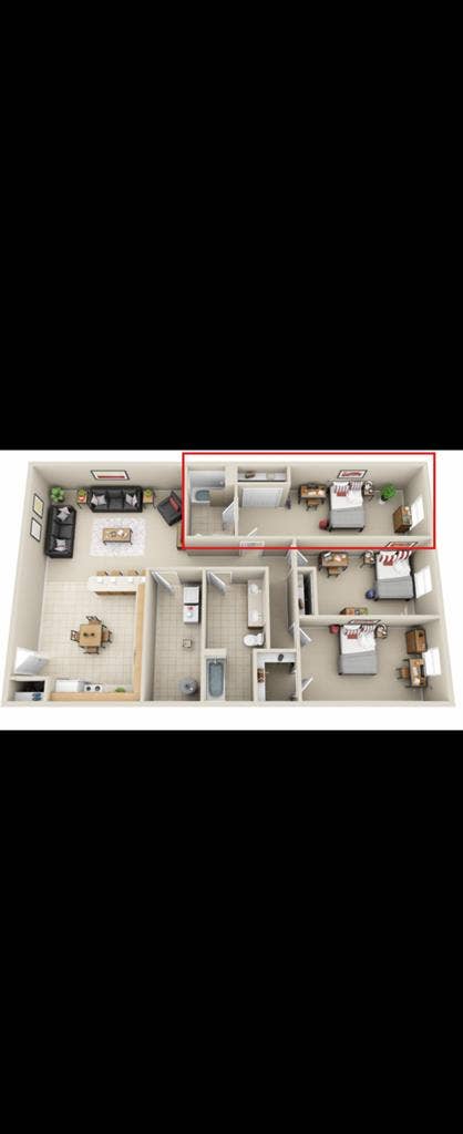 Female roommate needed at Illinois