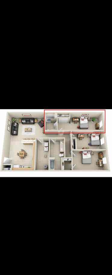 Female roommate needed at Illinois