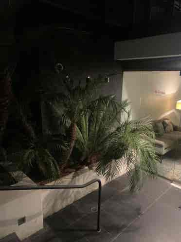 Beverly Hills beautiful apartment
