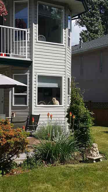1 bedroom in 2 bedroom suite