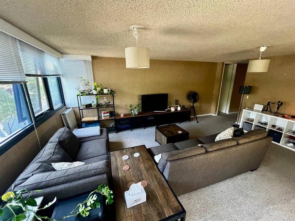 Looking for a chill housemate 💫