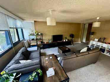 Looking for a chill housemate 💫