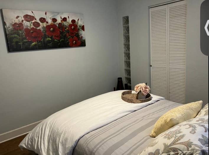 Roommate wanted- South Park Gem