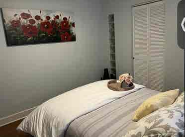 Roommate wanted- South Park Gem