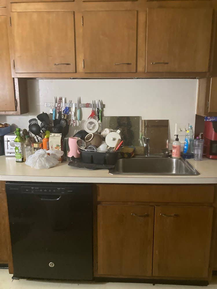 Roommate Needed by July 1st