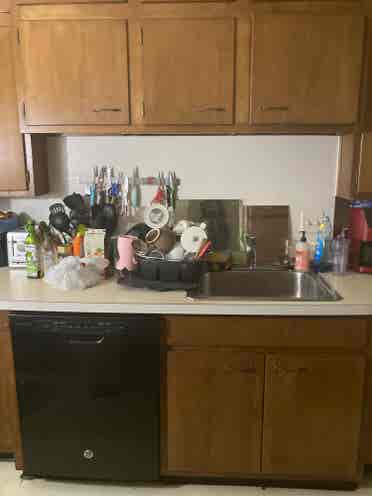 Roommate Needed by July 1st