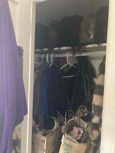 Roommate Needed by July 1st