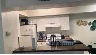 Looking for a roommate