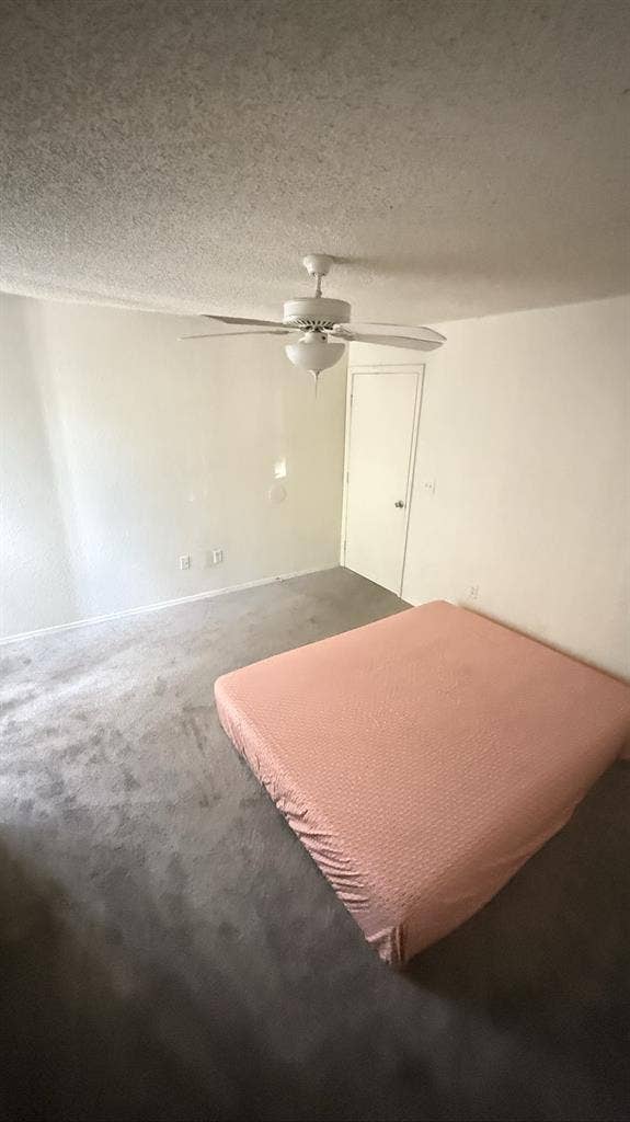 Looking for a roommate