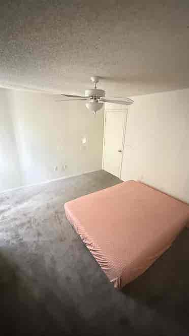 Looking for a roommate