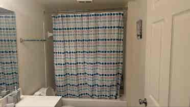Looking for a roommate