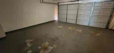 Roommate needed. Whole house.