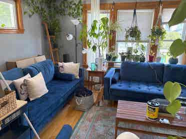 Room Available in 2BD – Davis Sq