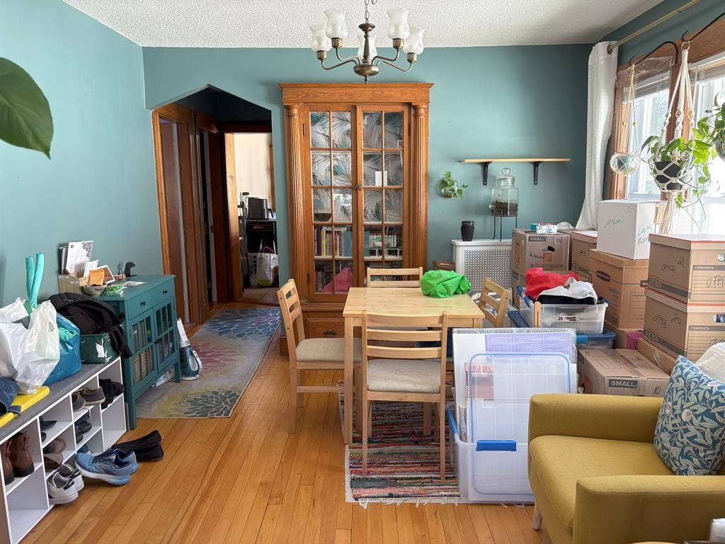 Room Available in 2BD – Davis Sq