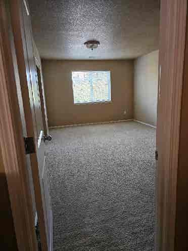 Room Available, $ a month!