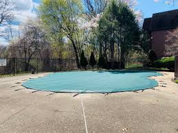 Looking for a roommate