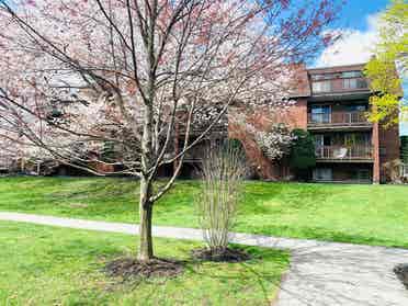 Looking for a roommate