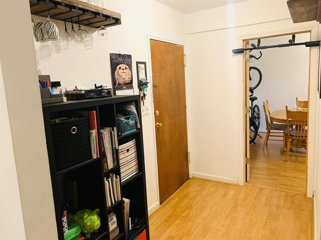 Looking for a roommate
