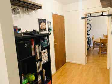 Looking for a roommate