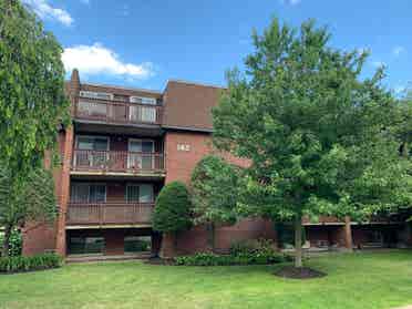 Looking for a roommate