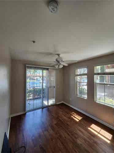 1 bedroom available in 3-bed apt