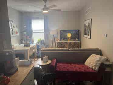 Female roommate wanted
