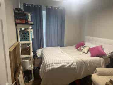 Female roommate wanted
