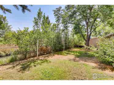 Fort Collins room for rent