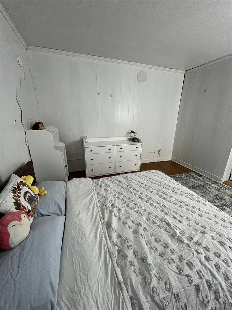 Spacious Private Room
