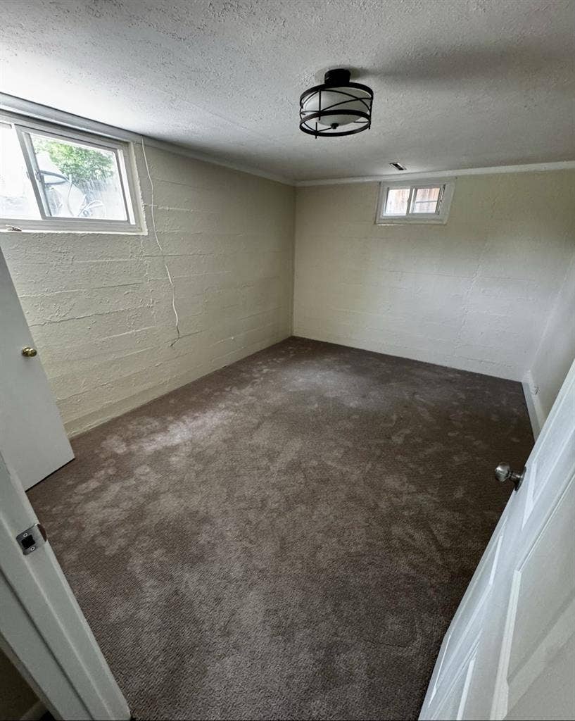 Large Subterranean Living Spc