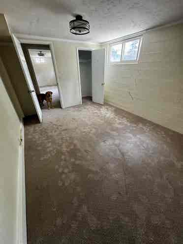 Large Subterranean Living Spc