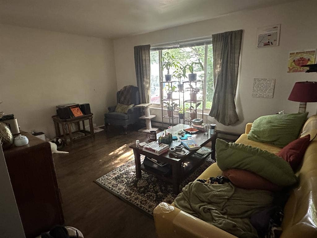 Looking for roommate!